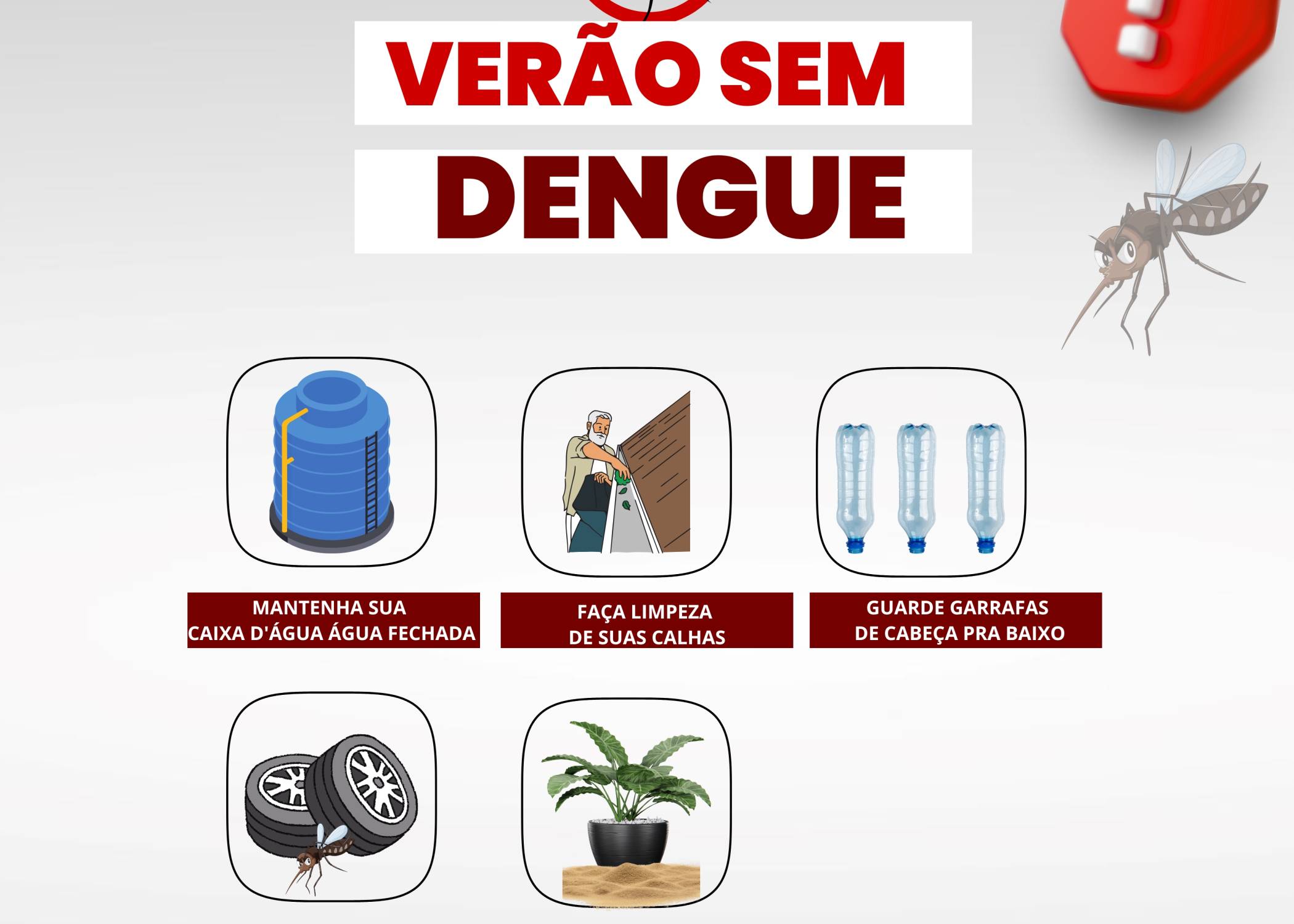 Verão sem dengue!